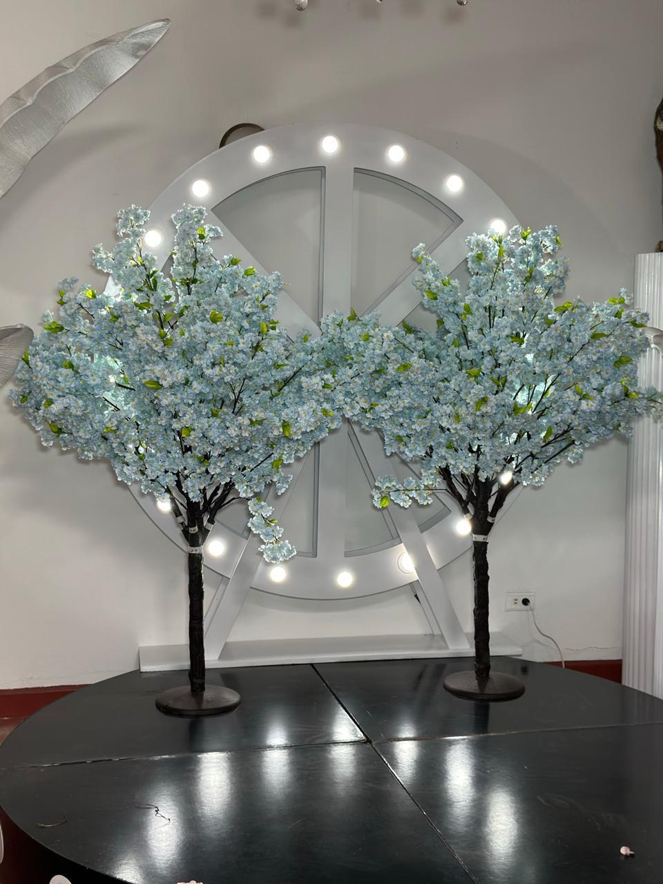 Exclusivo ÁRBOL CEREZO 1.60m