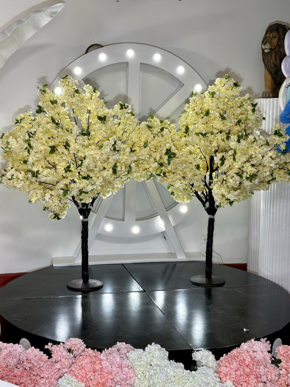 Exclusivo ÁRBOL CEREZO 1.60m