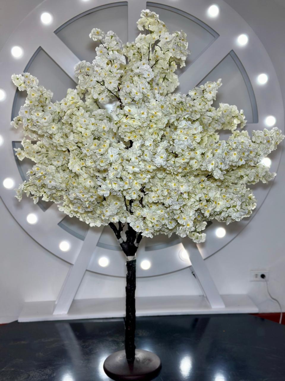 Exclusivo ÁRBOL CEREZO 1.60m