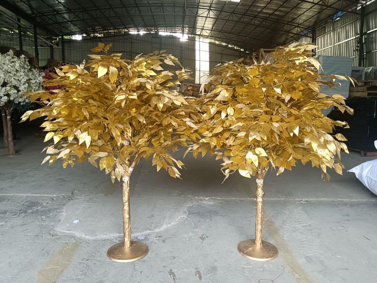 Exclusivo ÁRBOL CEREZO 1.60m